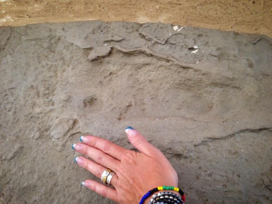 984050_10152324244392246_2134067388_n