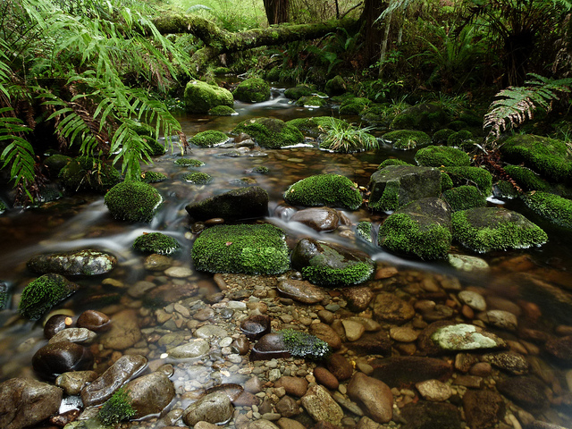 7301059490_9fd847b75b_z