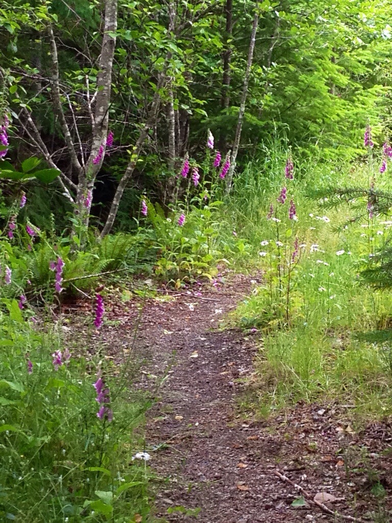 20140707-071313.jpg