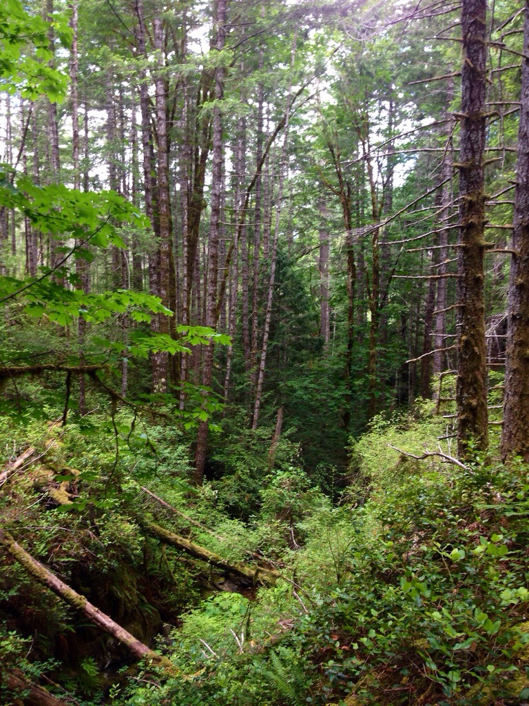 20140707-071344.jpg