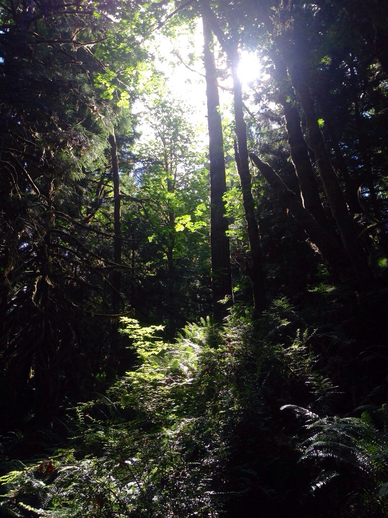 20140707-071431.jpg