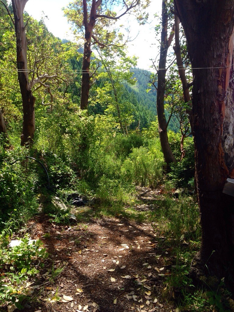 20140707-071511.jpg