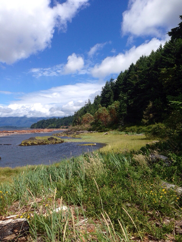 20140707-071558.jpg