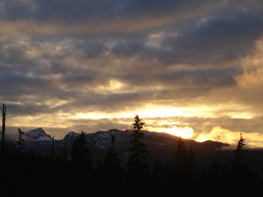 Photo Credit: @M_Media_