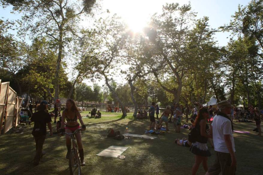 1463068_408296079357028_5538556181423005438_n