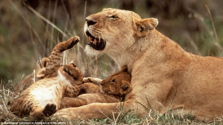 c5e8f7d1b36db5815ec3ddd6f2851ede